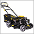 Champion LM4630 до 2019 г sn 32041900900