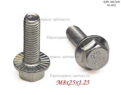 Винт ножки OWW--24/50/-58 КПБ 180/24М