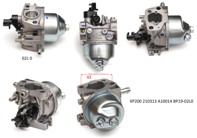 Карбюратор. 100087100. БМ 200Н