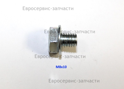 Болт M8х10 мм