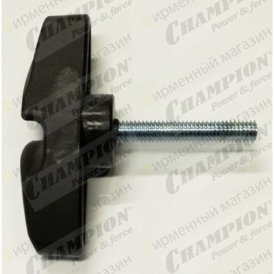 Болт крепления муфты штанги T252 - T523