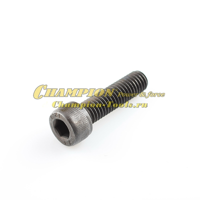 Болт крепления шнека AG152 AG243 AG252 М8х30