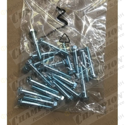Болт крепления корпуса помпы GP50, GP80 к двигателю M8x55 (с s/n 18010001 январь 2018)