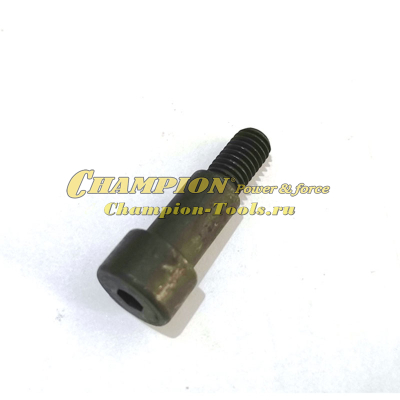 Болт крепления двигателя к суппорту AG364 -  731511220