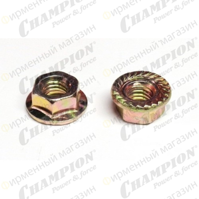 Гайка крышки шины М8х1,25 Champion 125 - 362 P351 H137 H142/ (аналог см 5300159-17 см 1400007)