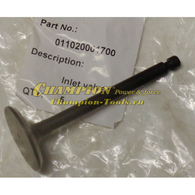 Кольцо уплотнительное крышки щупа DG2200E, DG3600, DG6000E, DW190AE, DTP81E 26х3, 55