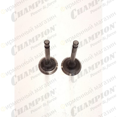 Клапан G180HK, 201HK, 210HK, 210HK комплект 2 шт замена на DAF007 + DAF006
