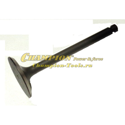 Клапан впускной DG6000Е, DW190AE