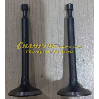Клапан G110VK комплект 2 шт. см. 12121-Z350130-0000 + 12111-Z350120-0000