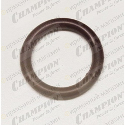 Кольцо уплотнительное крышки щупа DG2200E, DG3600, DG6000E, DW190AE, DTP81E 26х3, 55