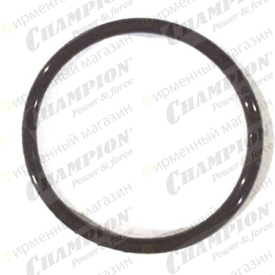 Кольцо уплотнительное TR72 40х2,4 крышки подшипника