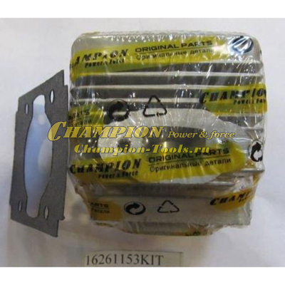 Поршневая группа T261,264 (Old)