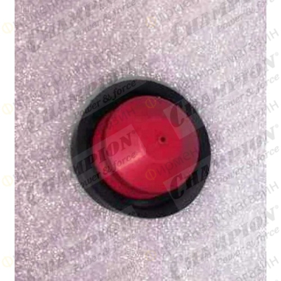 Сальник коленвала 25х40х7 GS50100, GS5080