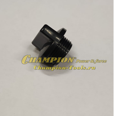 Пробка насоса GP50-100/GTP80-82/GTP80H сливная-заливная (без упл. кольца) замена на артикул 660240001-0001
