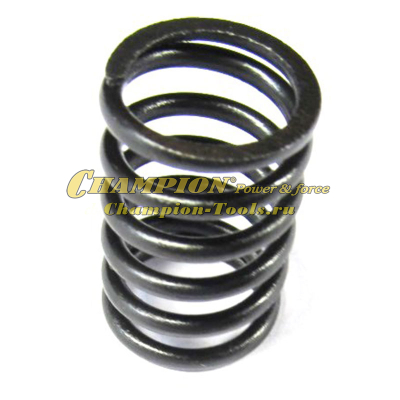 Пружина клапана DG2200 UD170