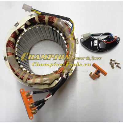 Статор DG10000E комплект (AVR+щетки) см. 204332904001