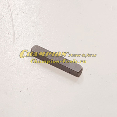 Шпонка 5х4,7х30 тип2 коленвала SC2818 GS5080 GS50100 GSC4840 LM5344 LM5644 LMZ5130/1(2)