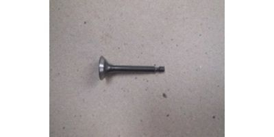 Клапан впускной