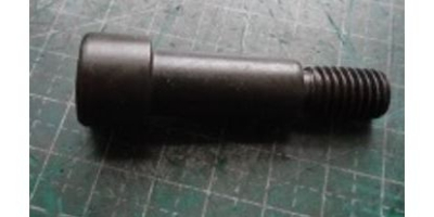 Болт M17х55