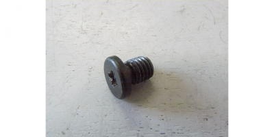 Винт специальный