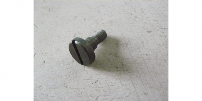 Винт специальный