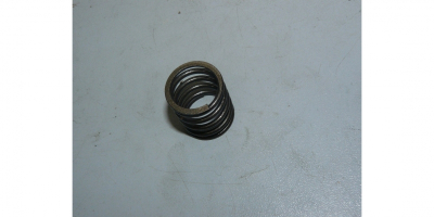 Пружина клапанная