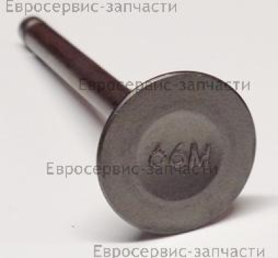 Клапан выпускной F9.9,F15BMS