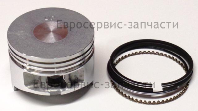 Поршень 59х42,5 1,5х1,5х2,5 F5BMS в сборе