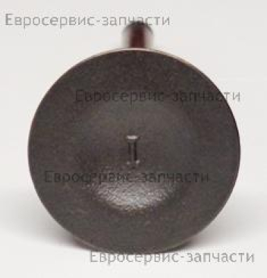 Клапан впускной F8,F9.8BMS