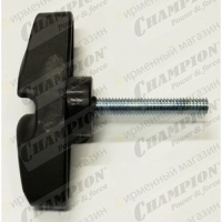 Болт крепления муфты штанги T252 - T523