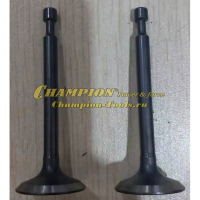 Клапан G110VK комплект 2 шт. см. 12121-Z350130-0000 + 12111-Z350120-0000