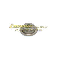 Колпачок маслосъемный G100HK-210HT/BC8734,9716/GG3200(EW)/ ST553 ST556 ST656 ST762Е