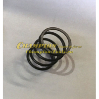 Пружина клапана GG2800, 3300, GP50, 55, 80, GTP80