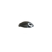 Крышка отсека для пылесборника (без ручки) пылесоса Bosch 144470